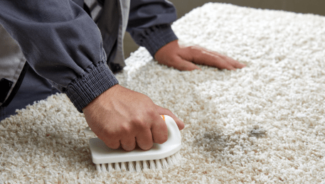 Professional Rug Cleaning Sunbury